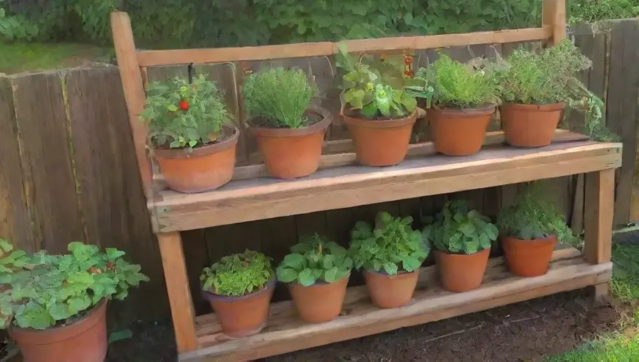 Un jardín vibrante y colorido lleno de plantas, frutas y vida