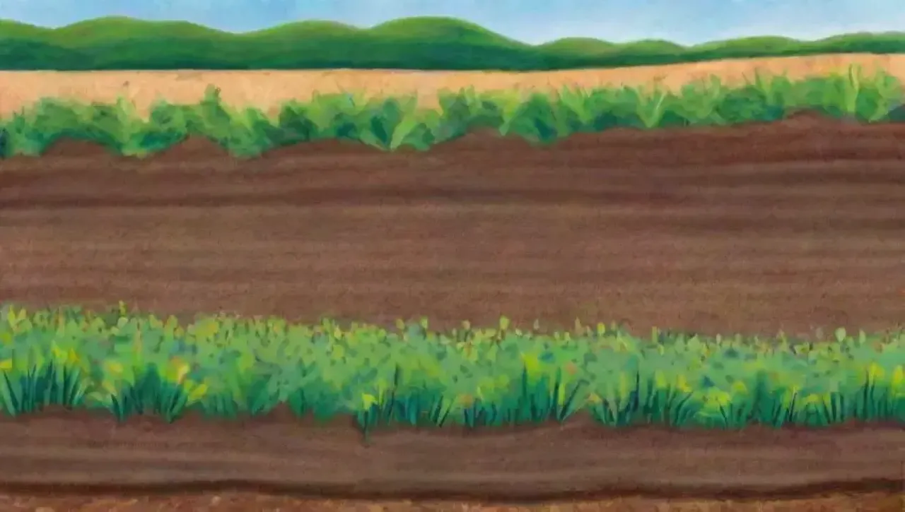 Un paisaje vibrante de campos verdes, flores silvestres y biodiversidad en equilibrio