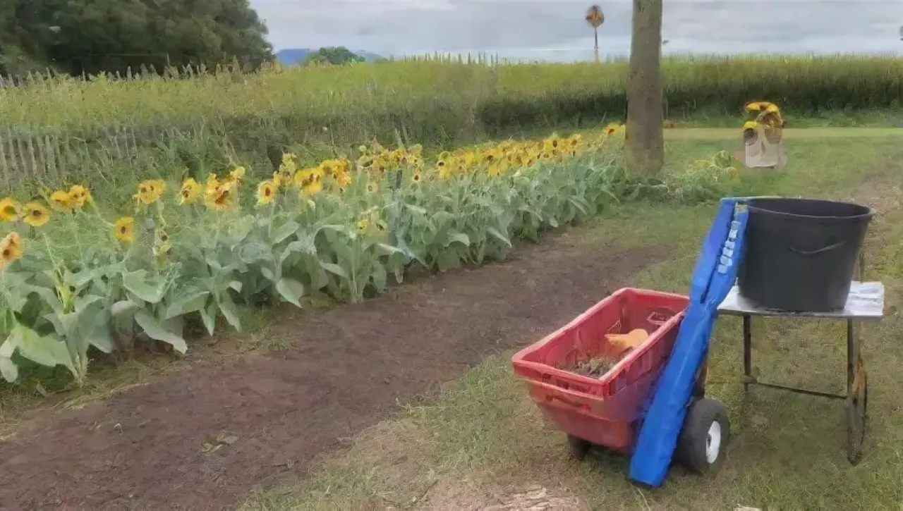 Un vibrante jardín lleno de plantas, flores, herramientas y risas