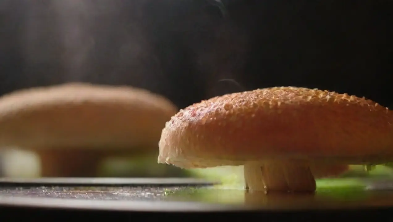 Producción de alimentos: Una tendencia creciente de Cómo diversificar productos a partir del hongo
