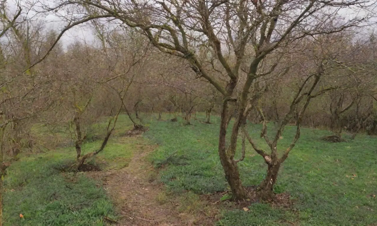 Técnicas de poda efectivas en permacultura para plantas sanas y rendimiento sostenible