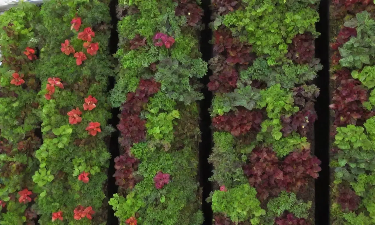 Guía de jardines verticales para clase con instrucciones
