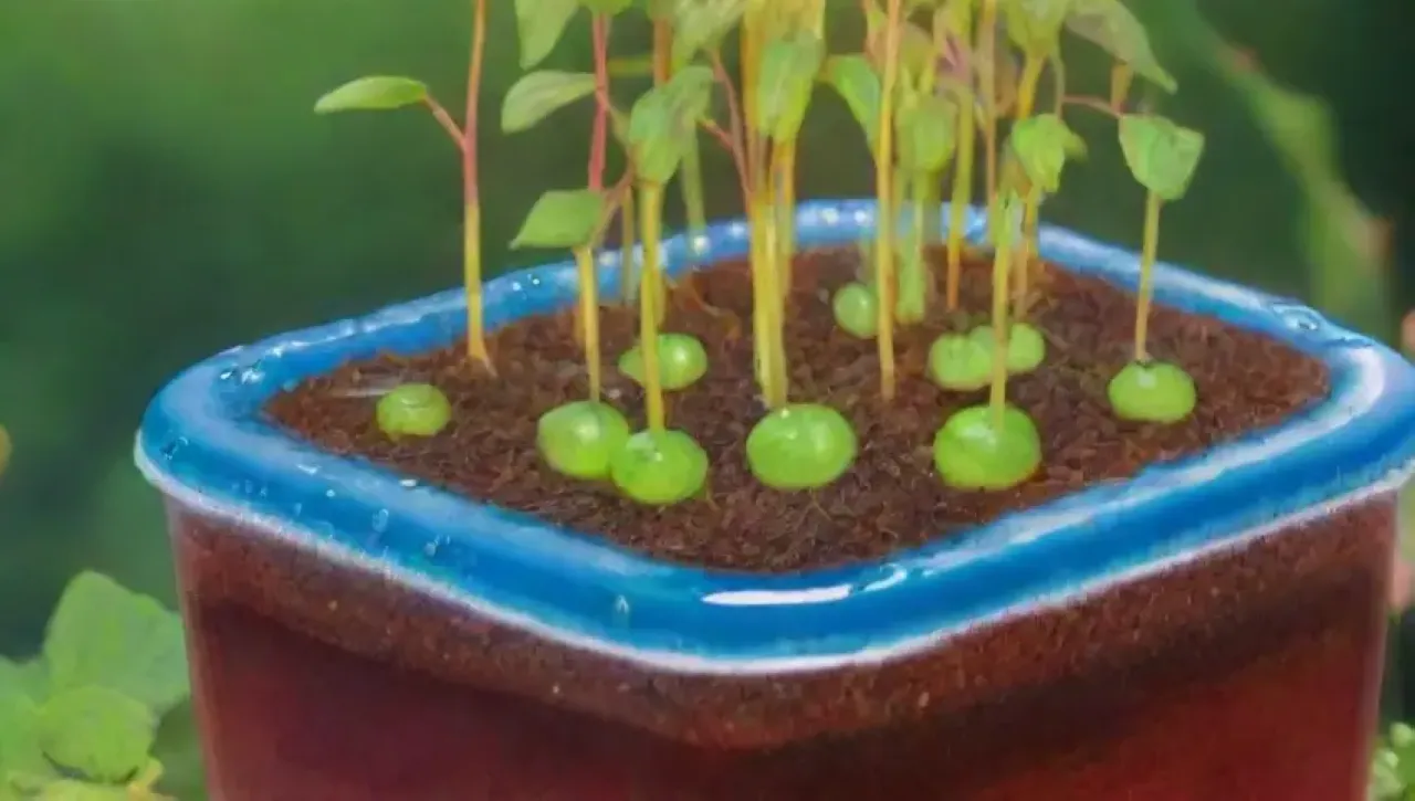 Un ecosistema hidroponico vibrante y lleno de vida