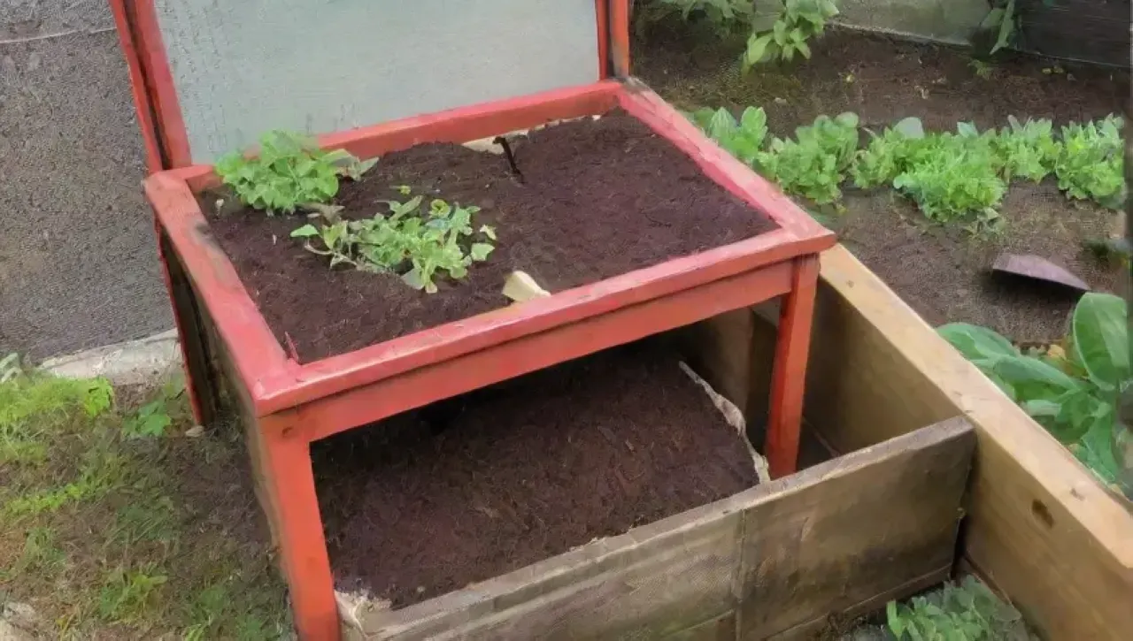 Un jardín vibrante y sostenible lleno de vida y cuidado