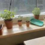 Cómo puedo elegir la mejor mesa de trabajo para injertos
