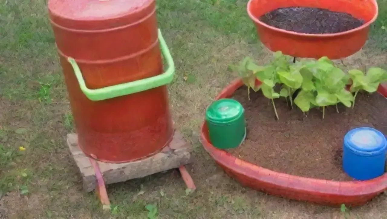 Un vibrante y acogedor jardín lleno de colores, aromas y vida