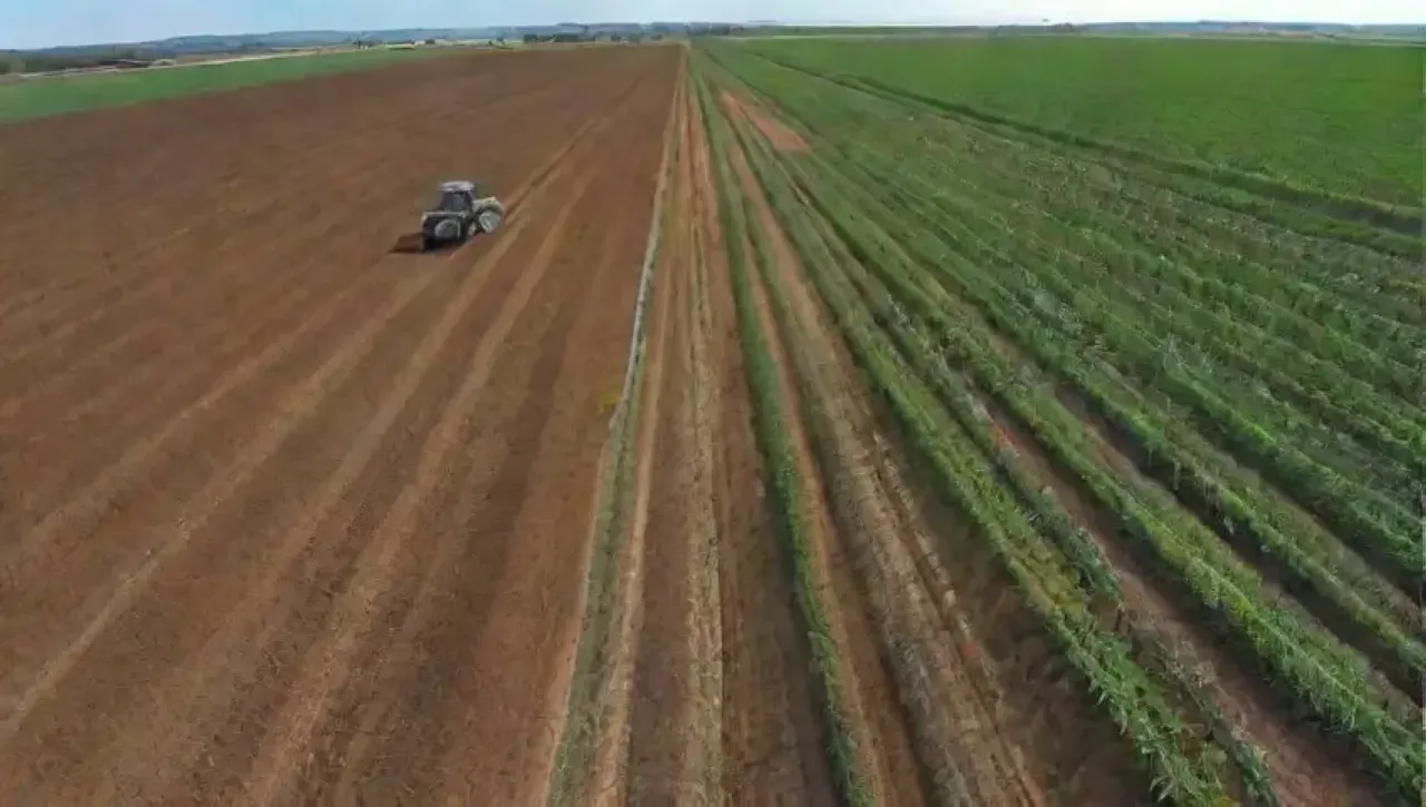 Campos verdes vibrantes con tecnología agrícola avanzada y colaboración en acción