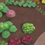 Cómo organizar la capa de mulching para un riego más eficaz