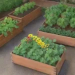 Las leguminosas: aliadas en el uso de plantas compañeras en huertos