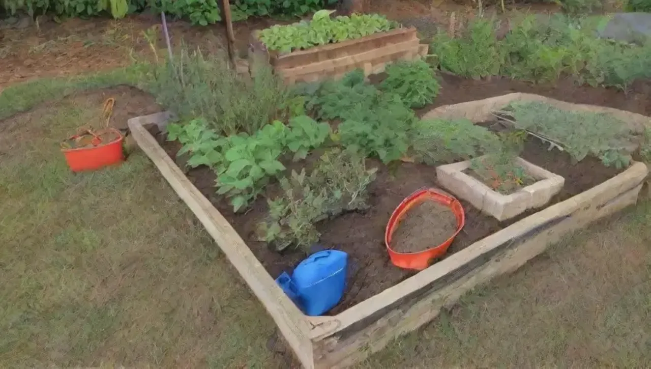 Un jardín vibrante y armonioso lleno de vida y cosechas