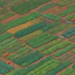 Producción orgánica en campos verdes con cultivos diversos y prácticas sostenibles