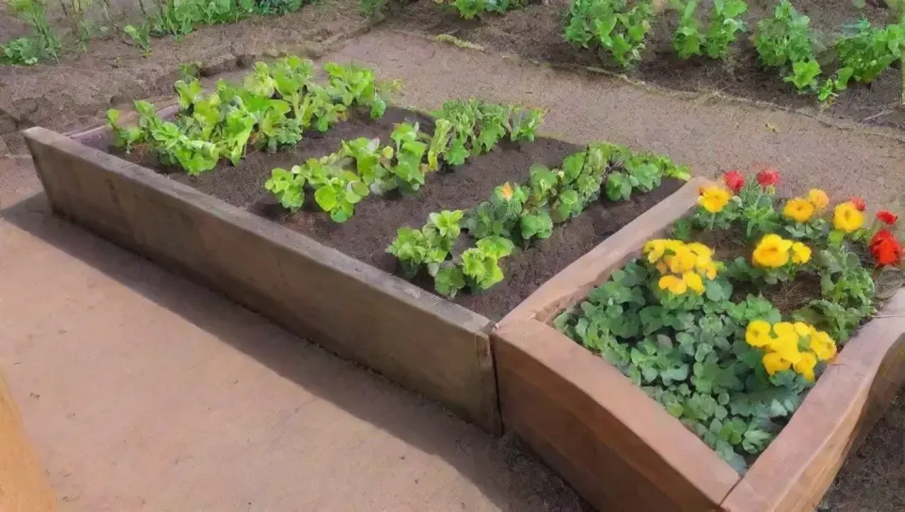 Un jardín vibrante y lleno de vida