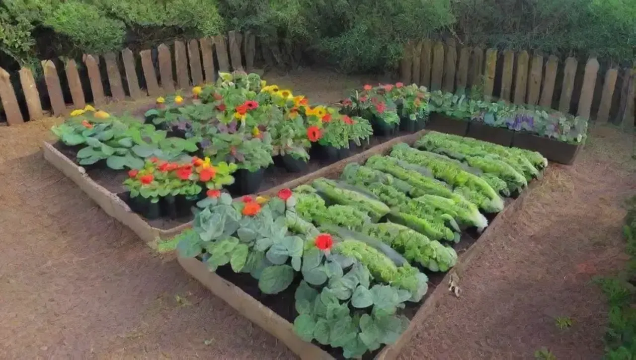 Un jardín vibrante y lleno de vida