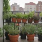 Guía para un jardín urbano en balcón con plantas vibrantes y vegetales frescos