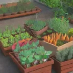 Es viable la agricultura urbana en zonas de clima templado