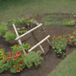 Cómo utilizar la agroforestería en huertos de clima cálido
