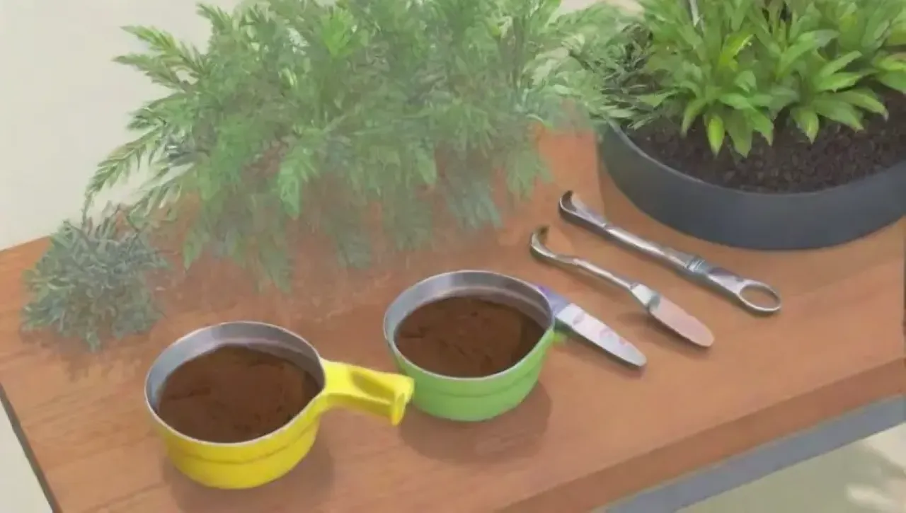 Un entorno de trabajo armonioso con herramientas ergonómicas y plantas vibrantes