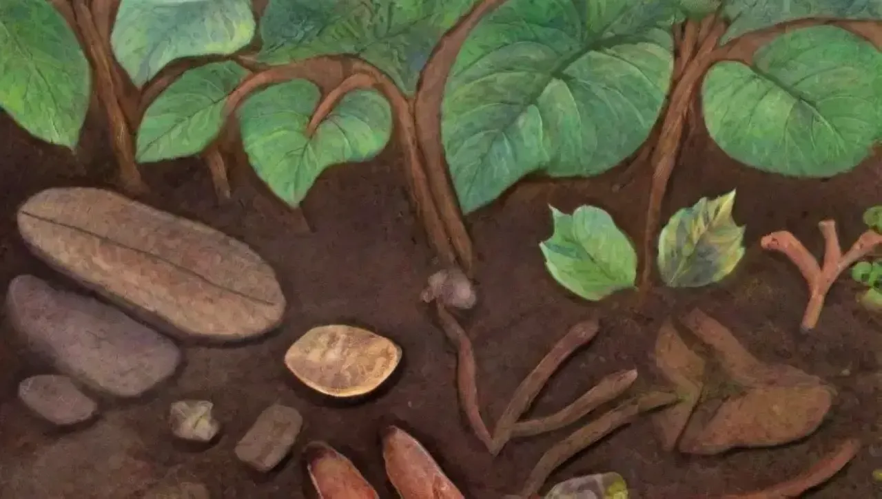 Un vibrante ciclo natural de vida y descomposición