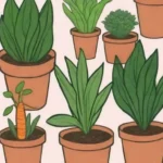 Plantas fáciles de cultivar para estudiantes