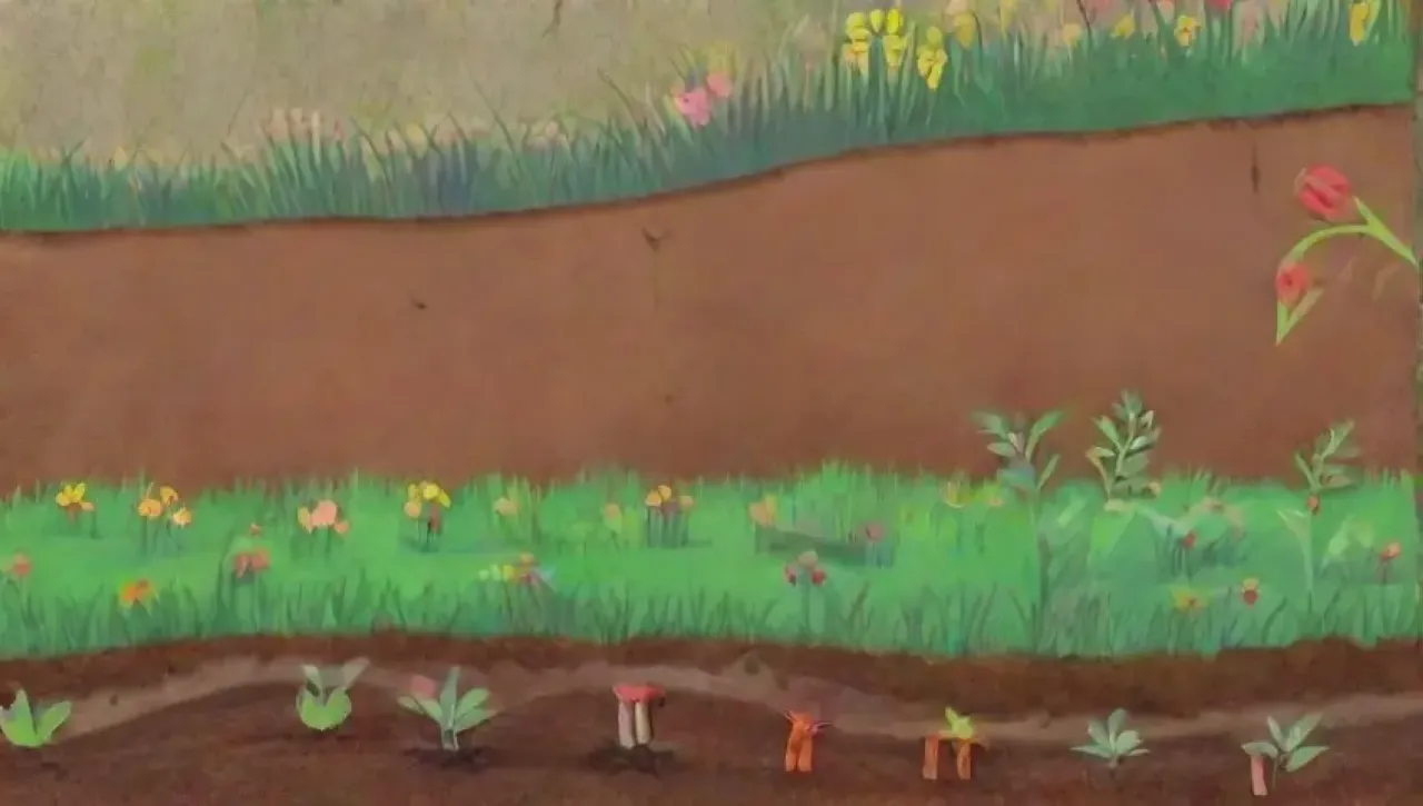 Un ecosistema vibrante y armonioso lleno de vida y nutrientes
