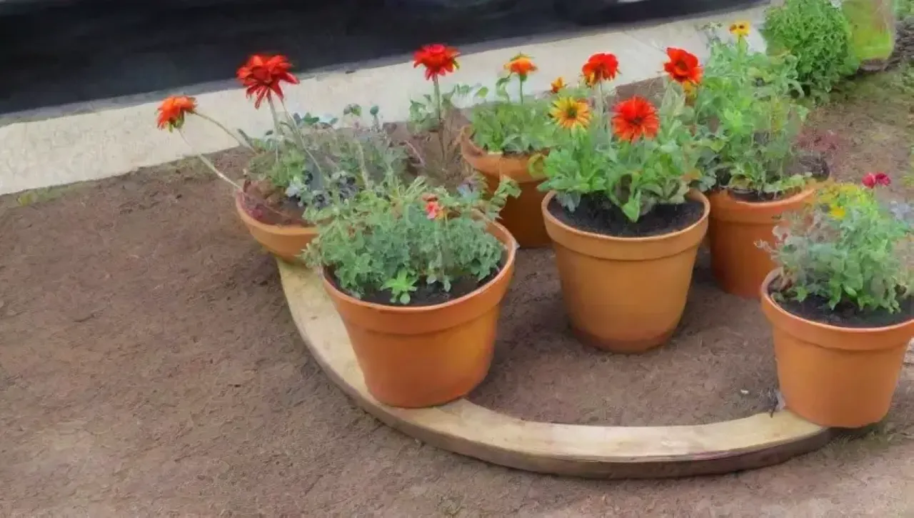 Un jardín vibrante y diverso con plantas, flores, insectos y elementos naturales