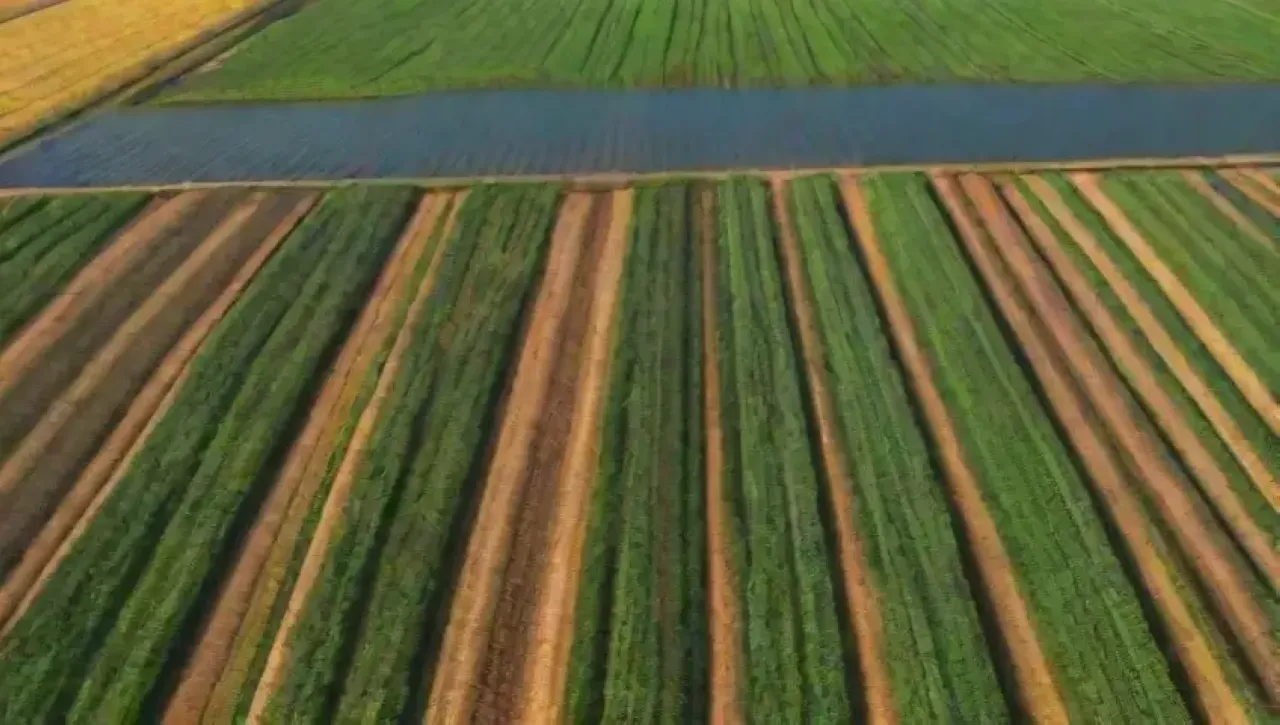 Campos verdes vibrantes con tecnología agrícola y naturaleza en armonía