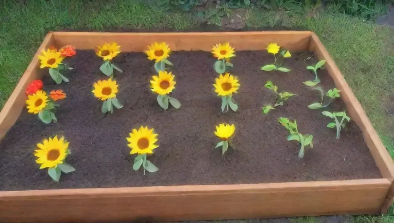 Un jardín vibrante lleno de plantas, flores y vida