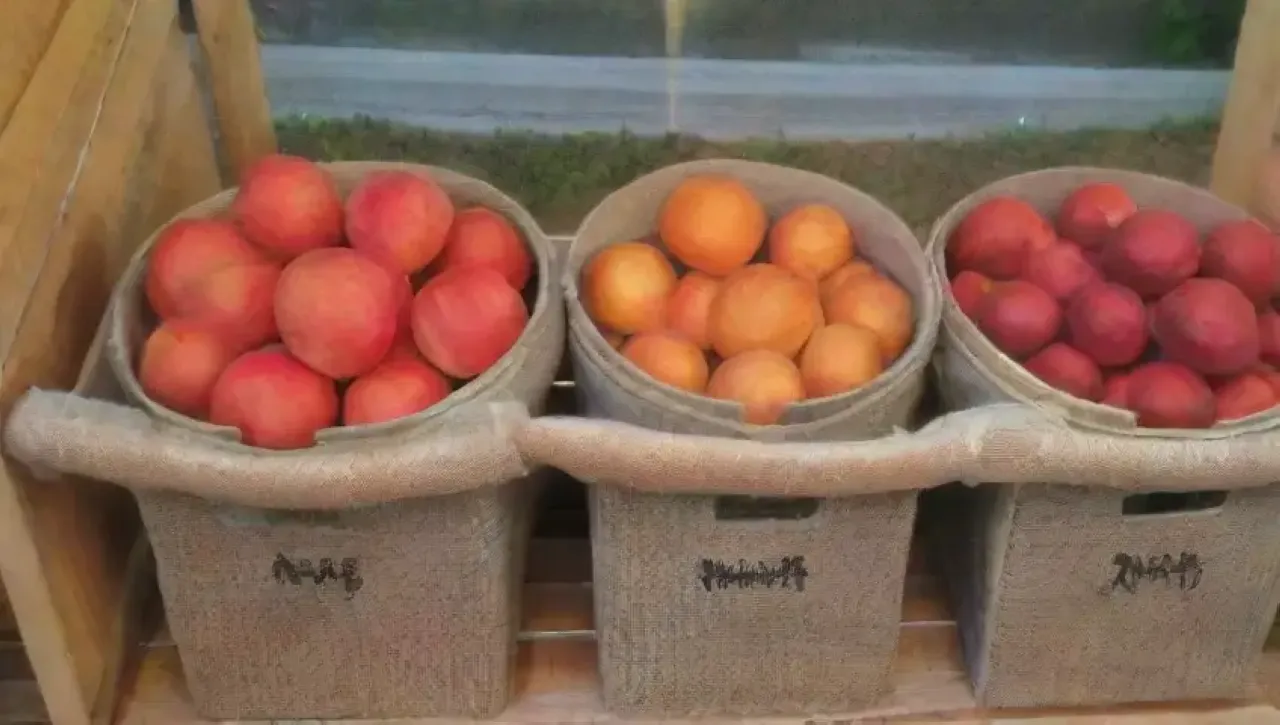 Un acogedor sótano de frutas y conservas brilla con luz suave y aromas de cosecha