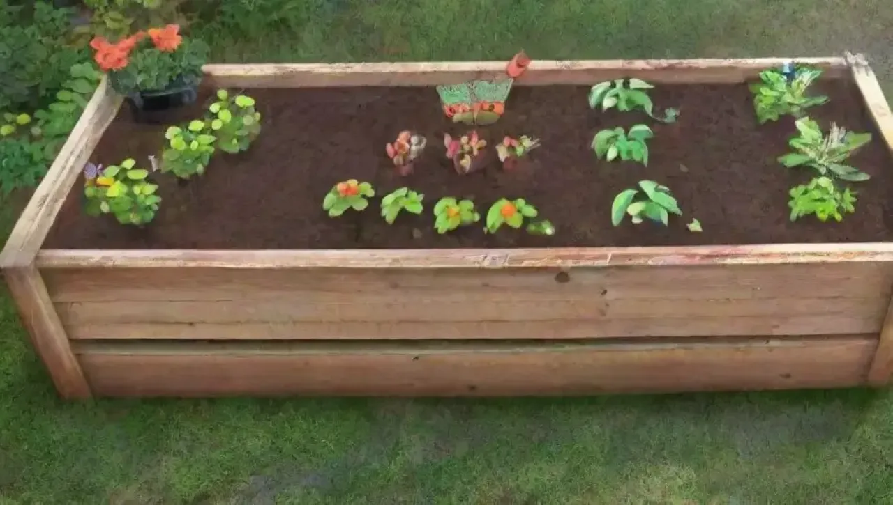 Un jardín vibrante y sostenible lleno de flores, tierra rica y herramientas alegres