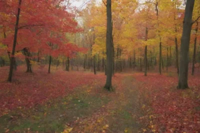 Las estaciones cambian y la naturaleza renace