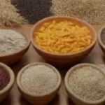 Aspectos claves al elegir semillas para tu ciclo de cultivo