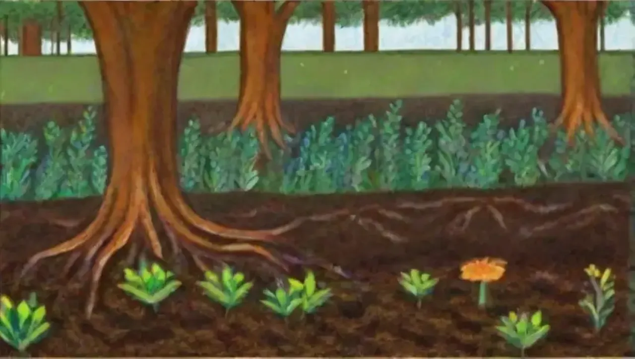 Un ecosistema vibrante y armonioso de vida y crecimiento