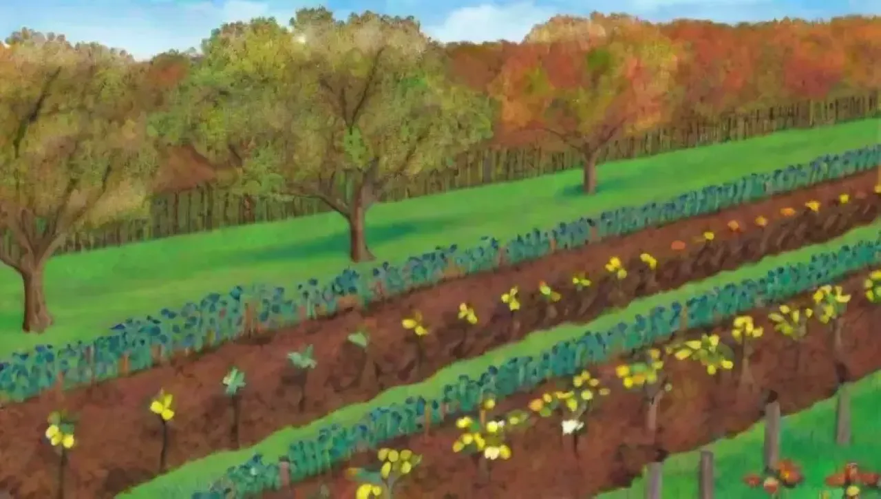 Un paisaje de huertos vibrantes y naturaleza en armonía