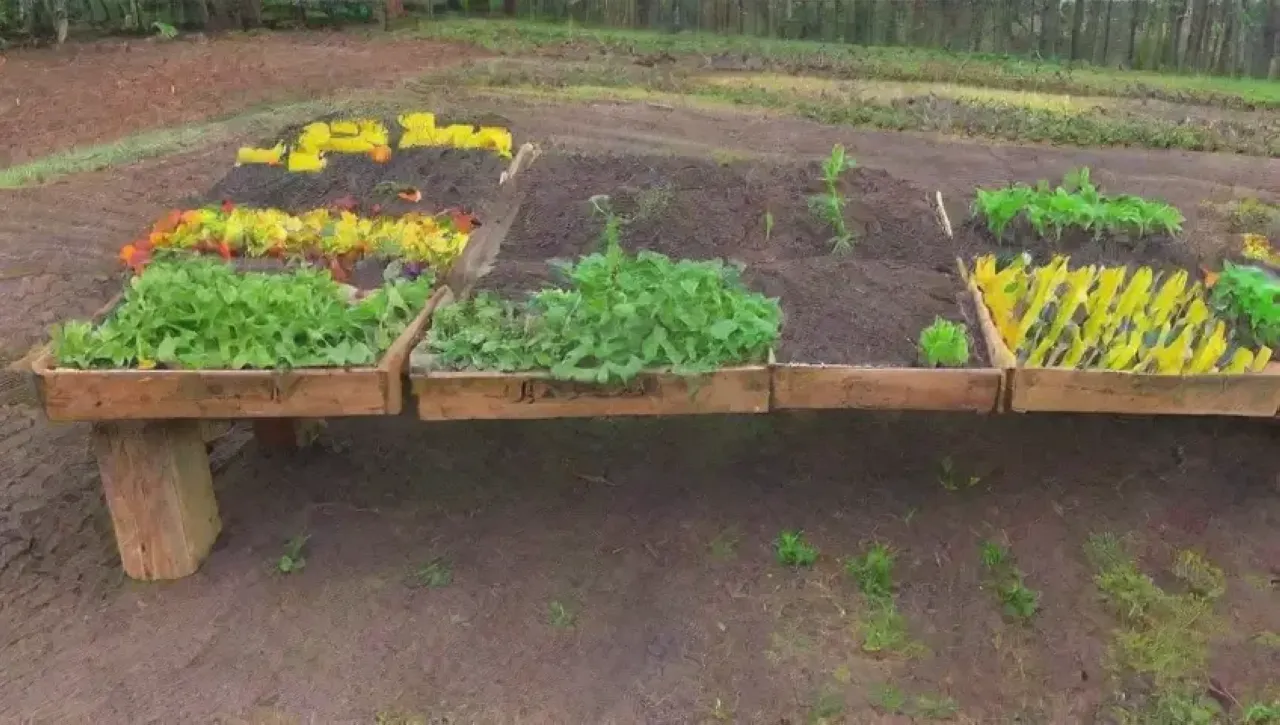 Un jardín vibrante y lleno de vida con plantas, herramientas y naturaleza