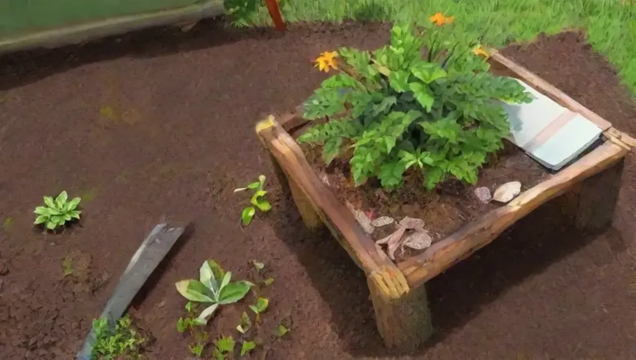 Un jardín vibrante y lleno de vida, donde la naturaleza y el cuidado se entrelazan