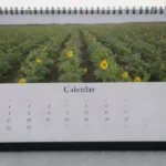 Crea un calendario y planifica cultivos según estaciones y espacio
