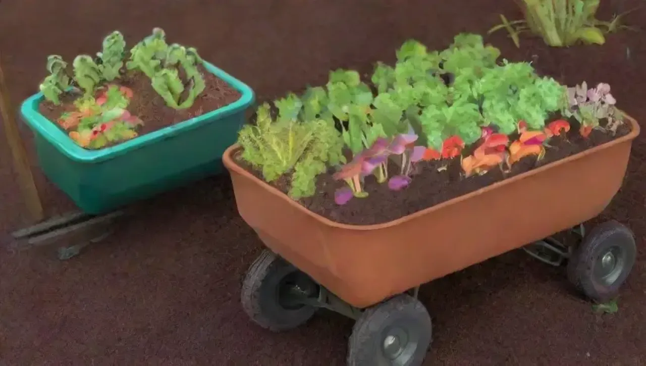 Un jardín vibrante y lleno de vida