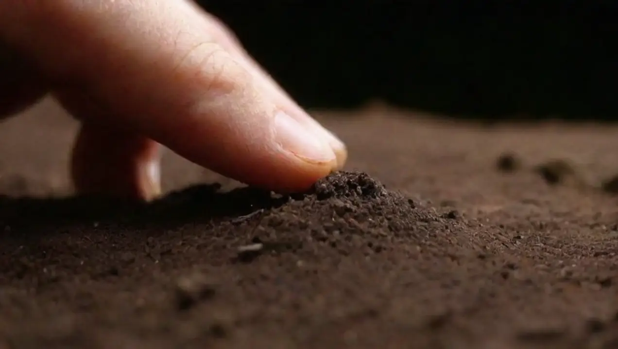 La química del suelo y su influencia en el crecimiento de Cómo se relaciona la ciencia con el ciclo de cultivo