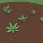 El mulch mejora la retención de humedad
