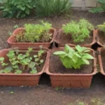 Cómo obtener plántulas sanas para el huerto en primavera