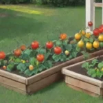 Qué variedades de tomate son ideales para cultivar en casa