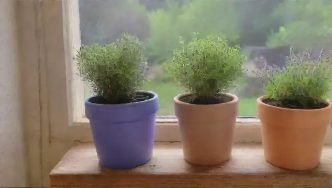 Un rincón acogedor de cocina lleno de hierbas frescas, luz suave y herramientas de jardinería