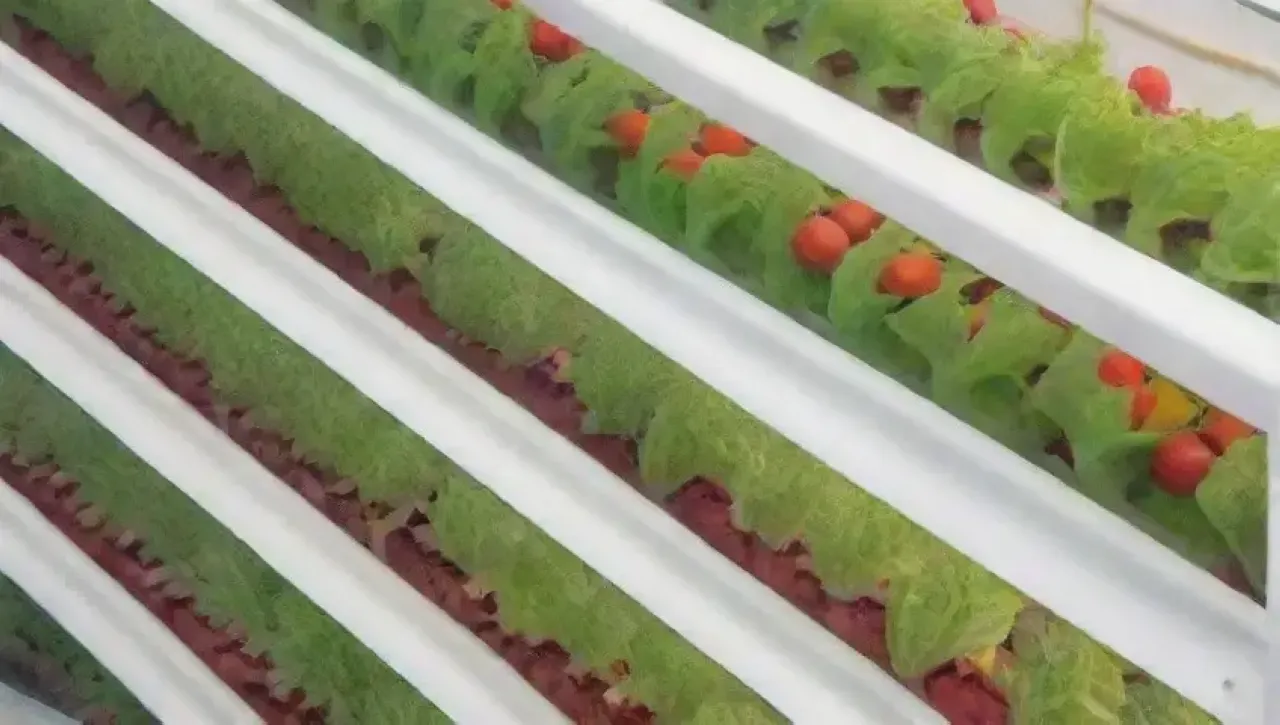 Un invernadero moderno con plantas vibrantes y sistemas hidropónicos