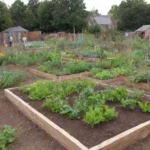 Crear un jardín comunitario con voluntarios