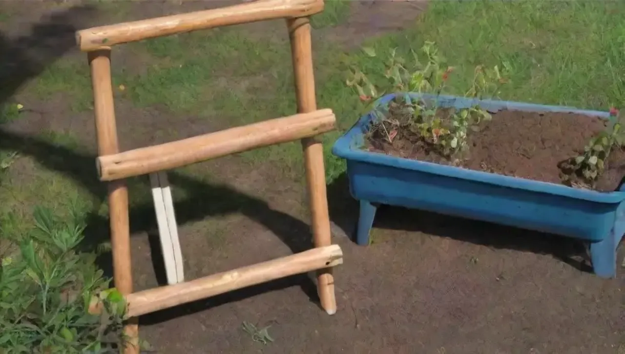 Un jardín vibrante y sereno, lleno de vida y belleza natural