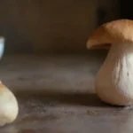 Guía completa para usar hongos en la cocina exquisitamente