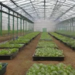 Manejo sostenible de residuos en invernaderos: Prácticas y beneficios