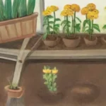 El ciclo de vida de una planta: Desde el semillero hasta la cosecha