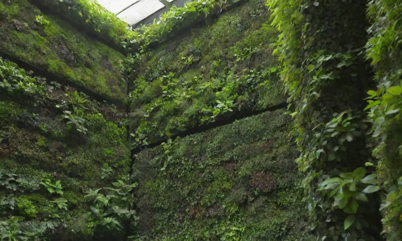 Diseño de jardines verticales con selección de plantas y sistemas de riego