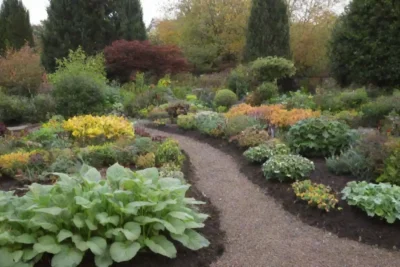 Planifica tu jardín de otoño eligiendo plantas adecuadas y preparándote para el clima y la cosecha